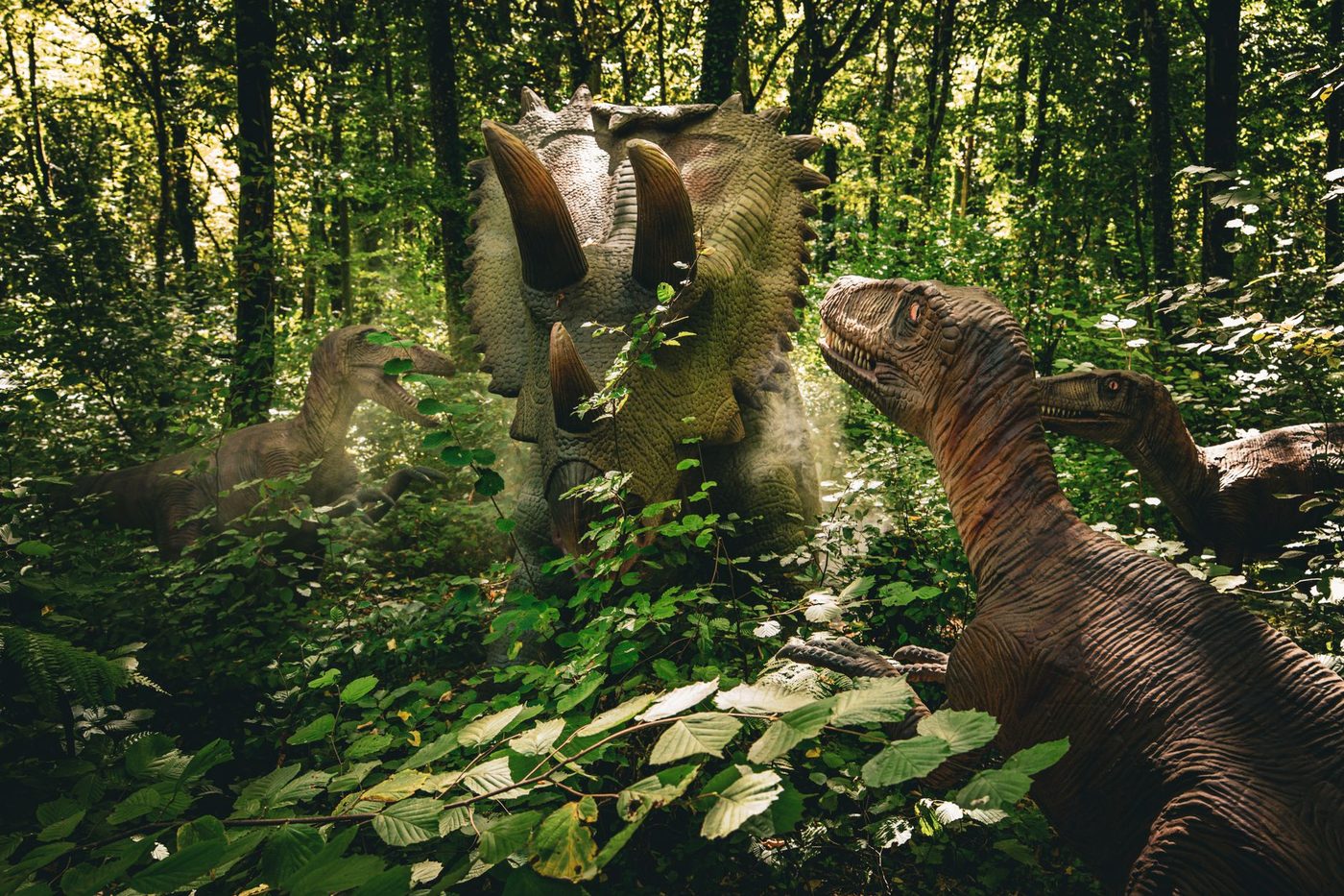 Wetenschappers reconstrueren geluiden van prehistorische insecten uit het Jura-tijdperk
