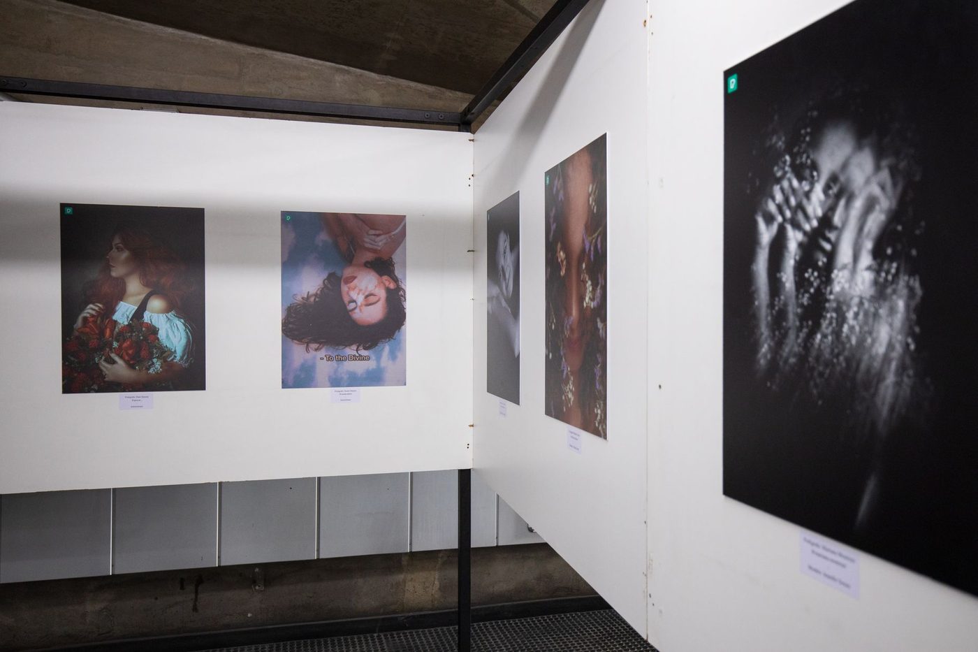 Japanse fotografie in expo 'Lost and Found' onderzoekt trauma en vernieuwing