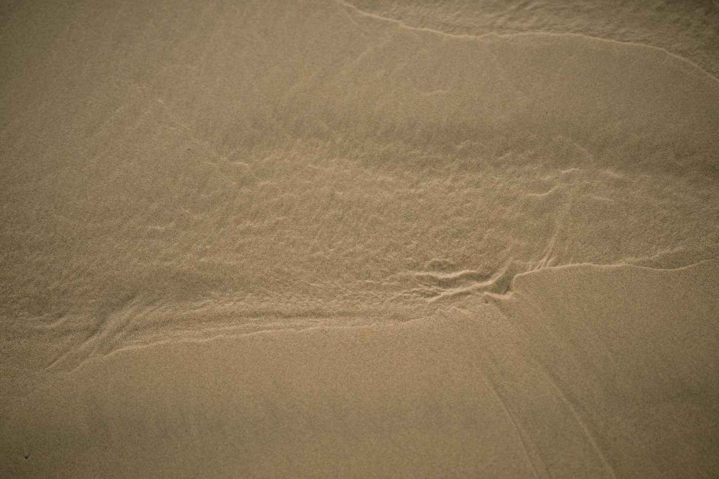 Satellietbeelden tonen spectaculaire sedimentpluim en wolkenformaties in Oost-Chinese Zee