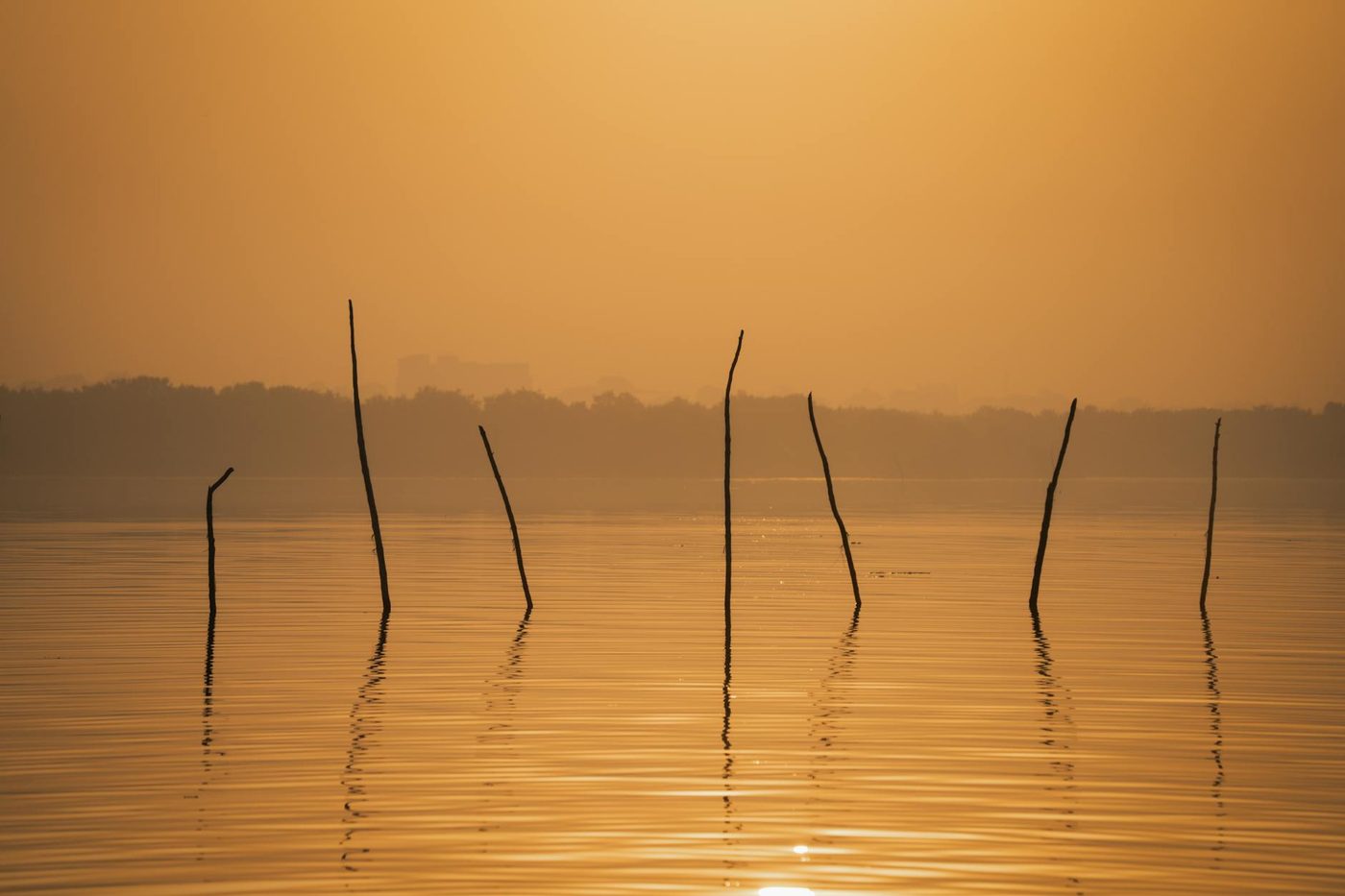 KIJK. “Mijn type mens”: man op Correspondents’ Dinner blijft rustig eten terwijl iedereen rondom hem onder tafel duikt