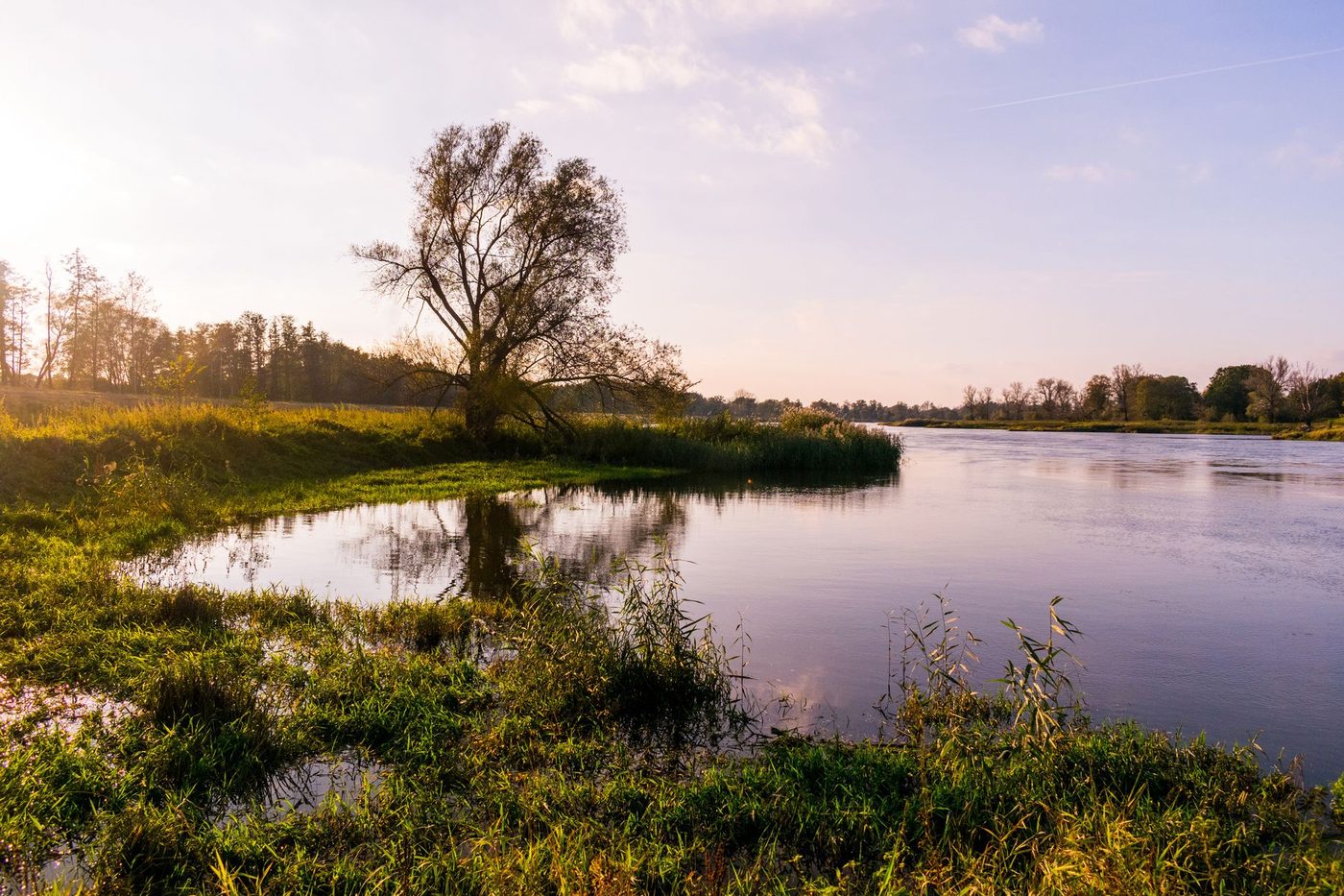 Natuurpunt breidt natuurgebied rond de Rode Geul in Assenede uit