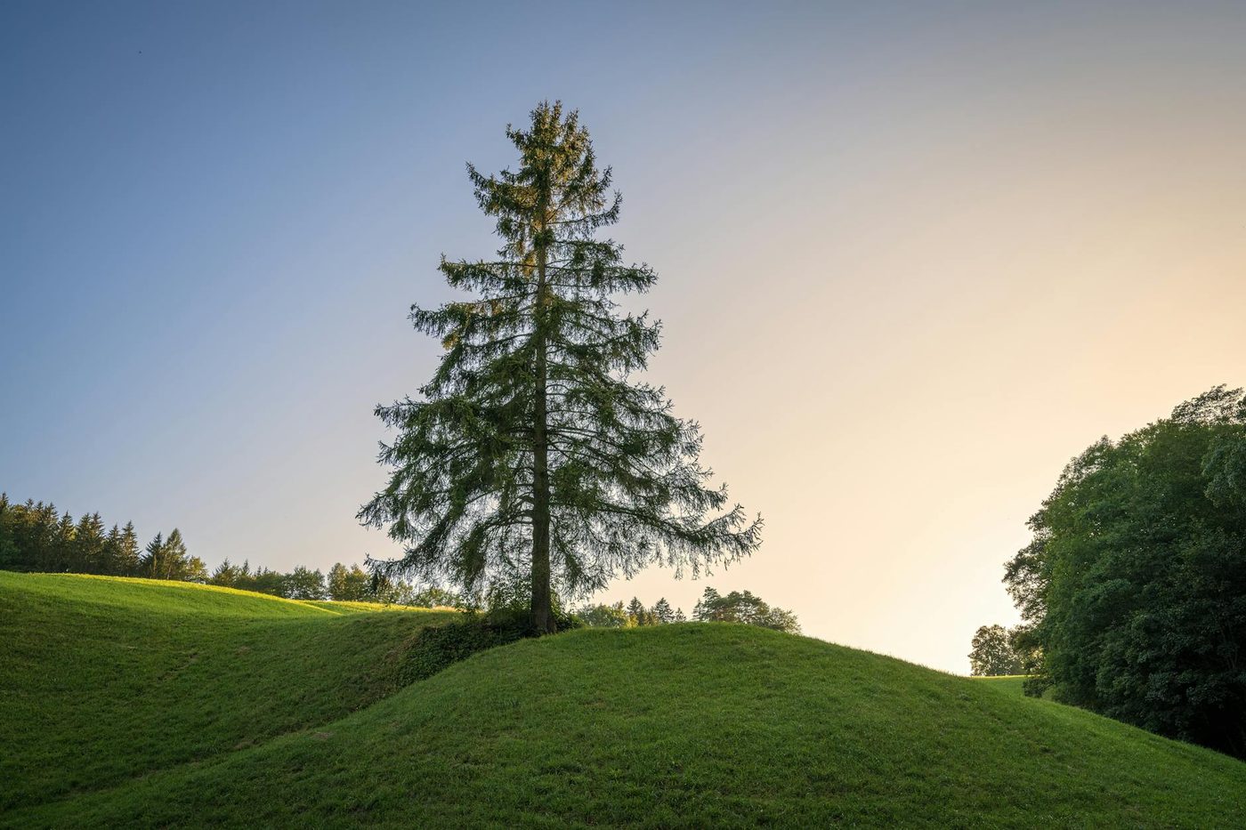 Joël Francis kondigt nieuwe EP 'Rooted in Love' aan na periode van stilte