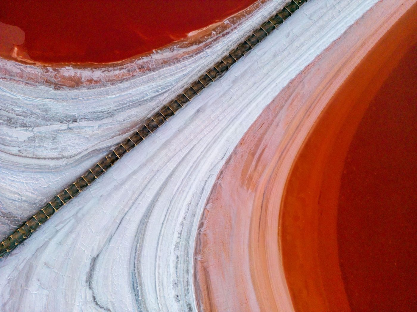 Zoutminnende microbe kan groeien in omstandigheden die lijken op die op Mars