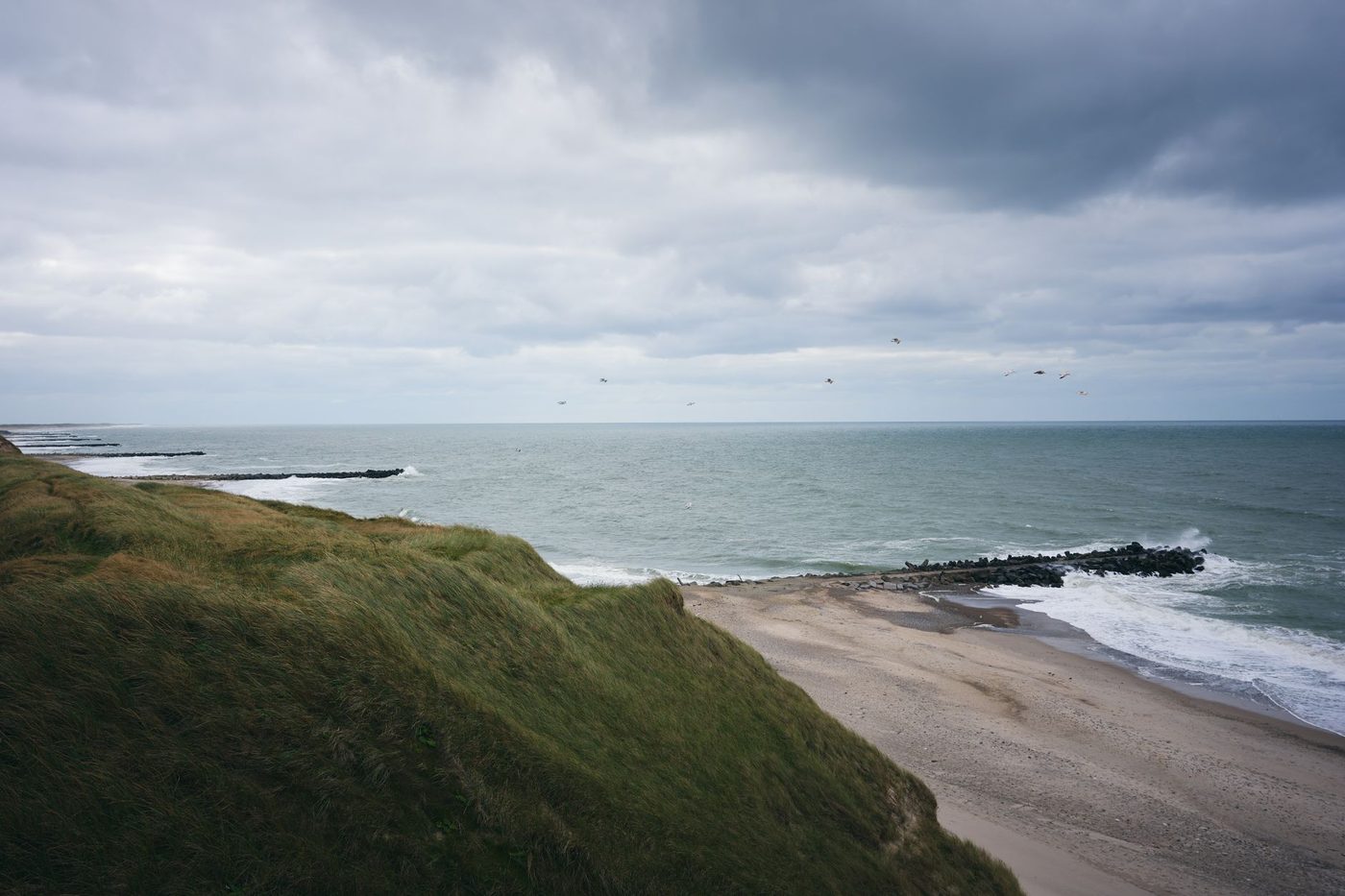 Zocht hij haaientanden op het strand, maar vond hij iets veel zeldzamers?