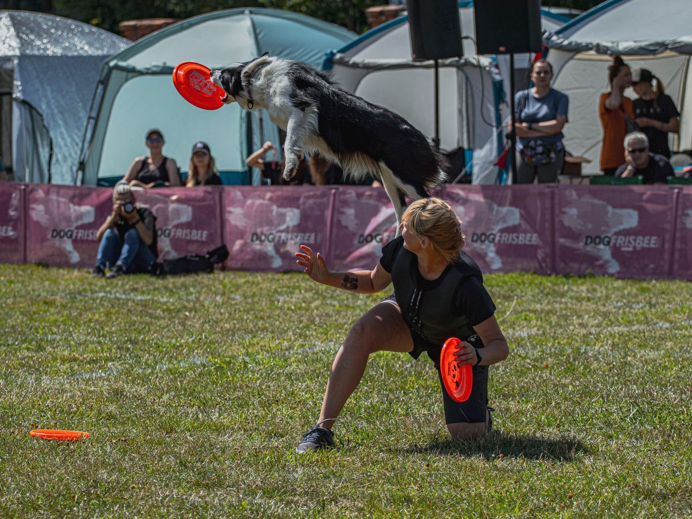 Woofstock: Brussel viert debuut van groot hondenfestival