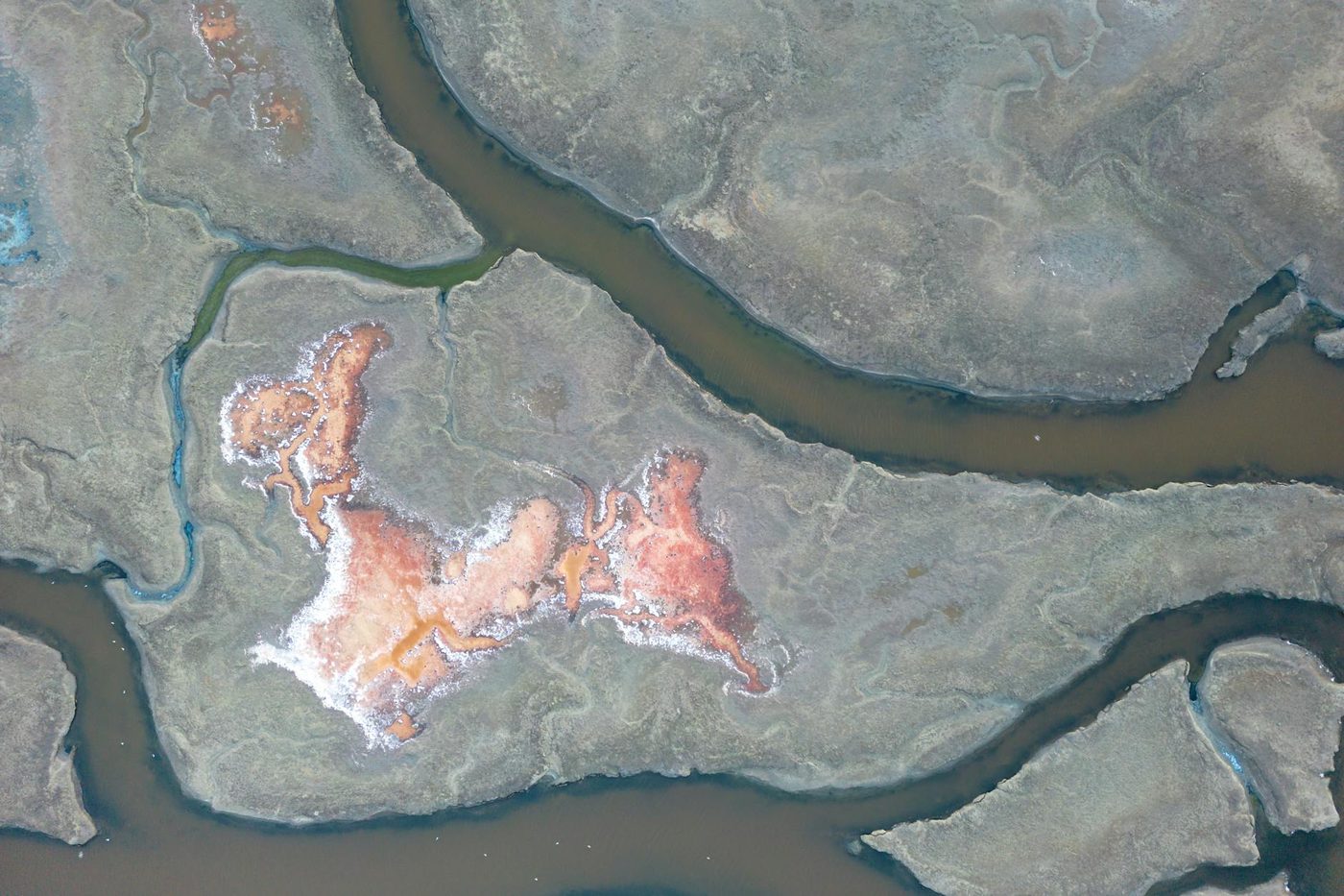 Zoutkristallen op Mars mogelijk schuilplaats voor microscopisch leven