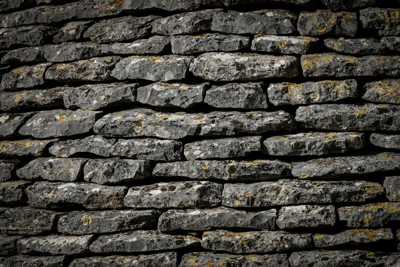 De wankelende basis van de rechterflank: Verdwijnt de westerse radicale opstand zonder de steun van Orbán?