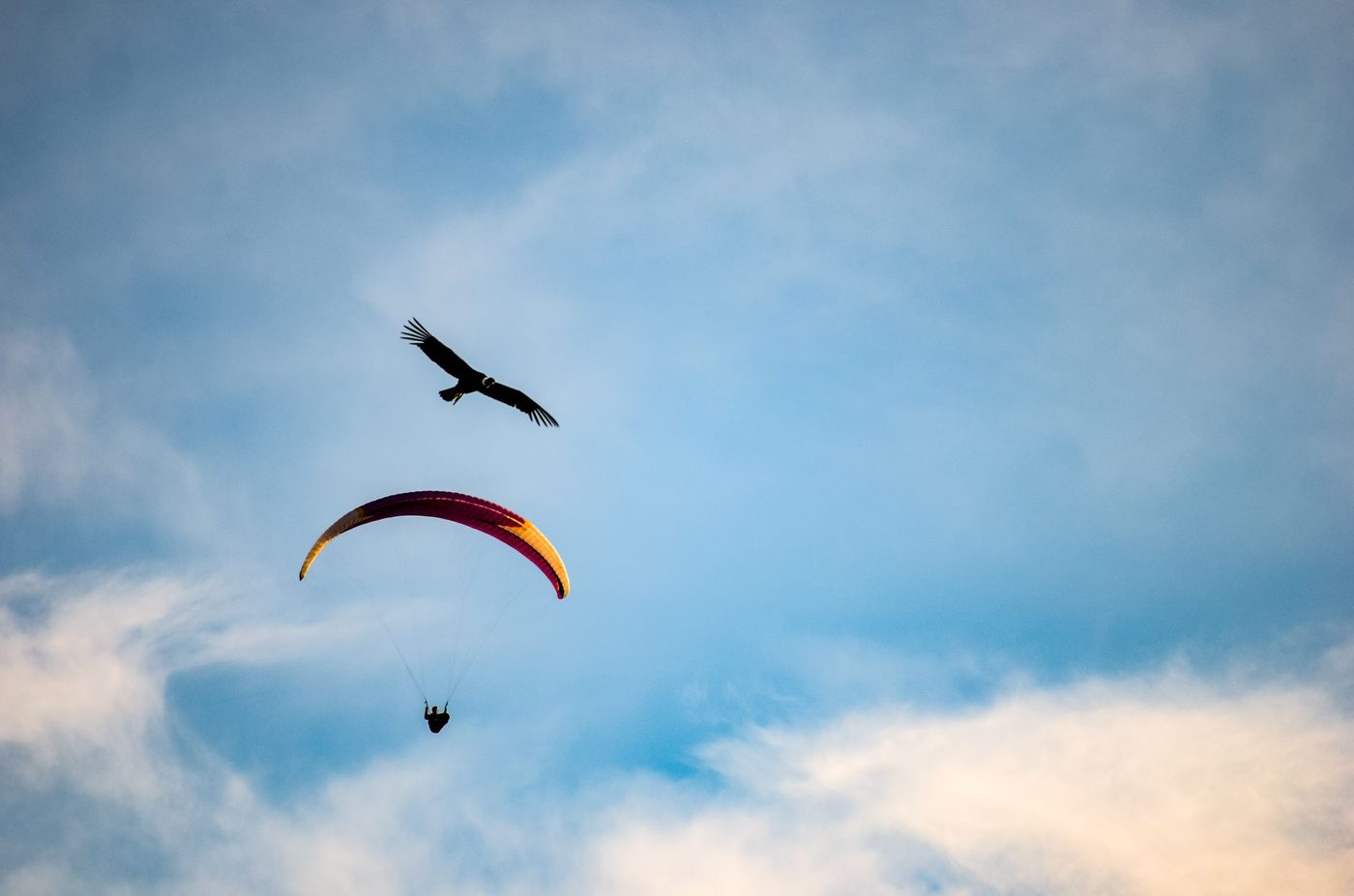 Belgische paraglider (56) vermist in Pyreneeën: drones en honden ingezet