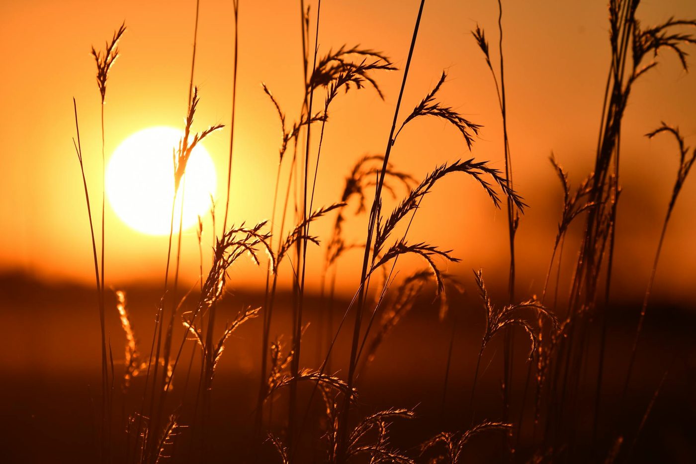 Warmteopstoot verwacht na Pasen met temperaturen boven 20 graden