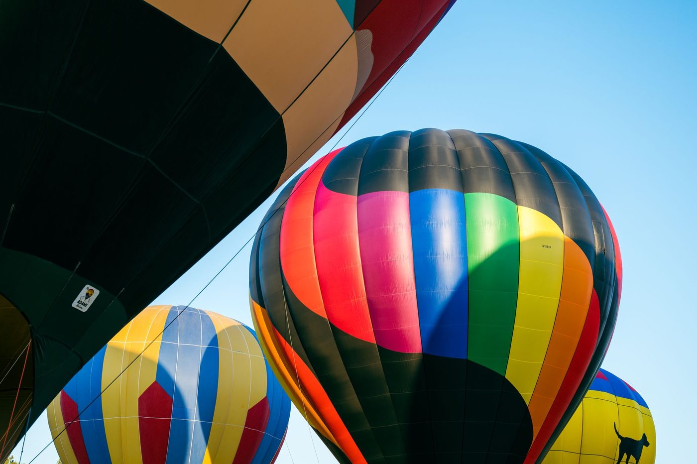Wind speelt parten, maar dan toch: luchtballonnen kleuren hemel boven Sint-Niklaas