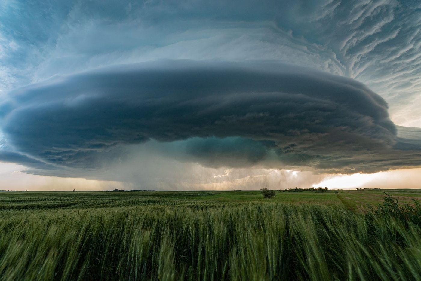 Recordbrekende El Niño: De oorzaken achter de uitzonderlijke kracht