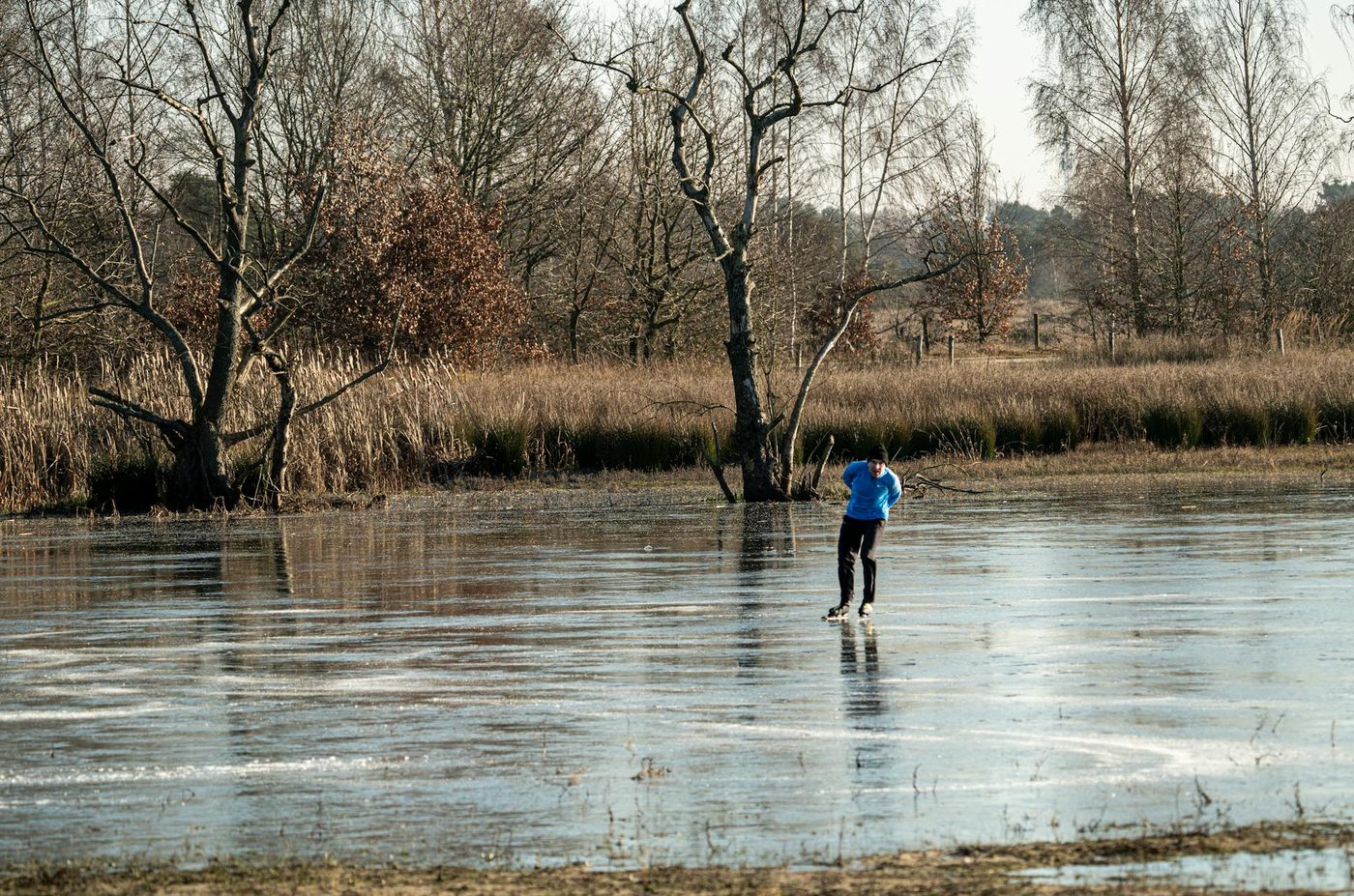 Europa komt te hulp bij enorme natuurbranden in Brabant