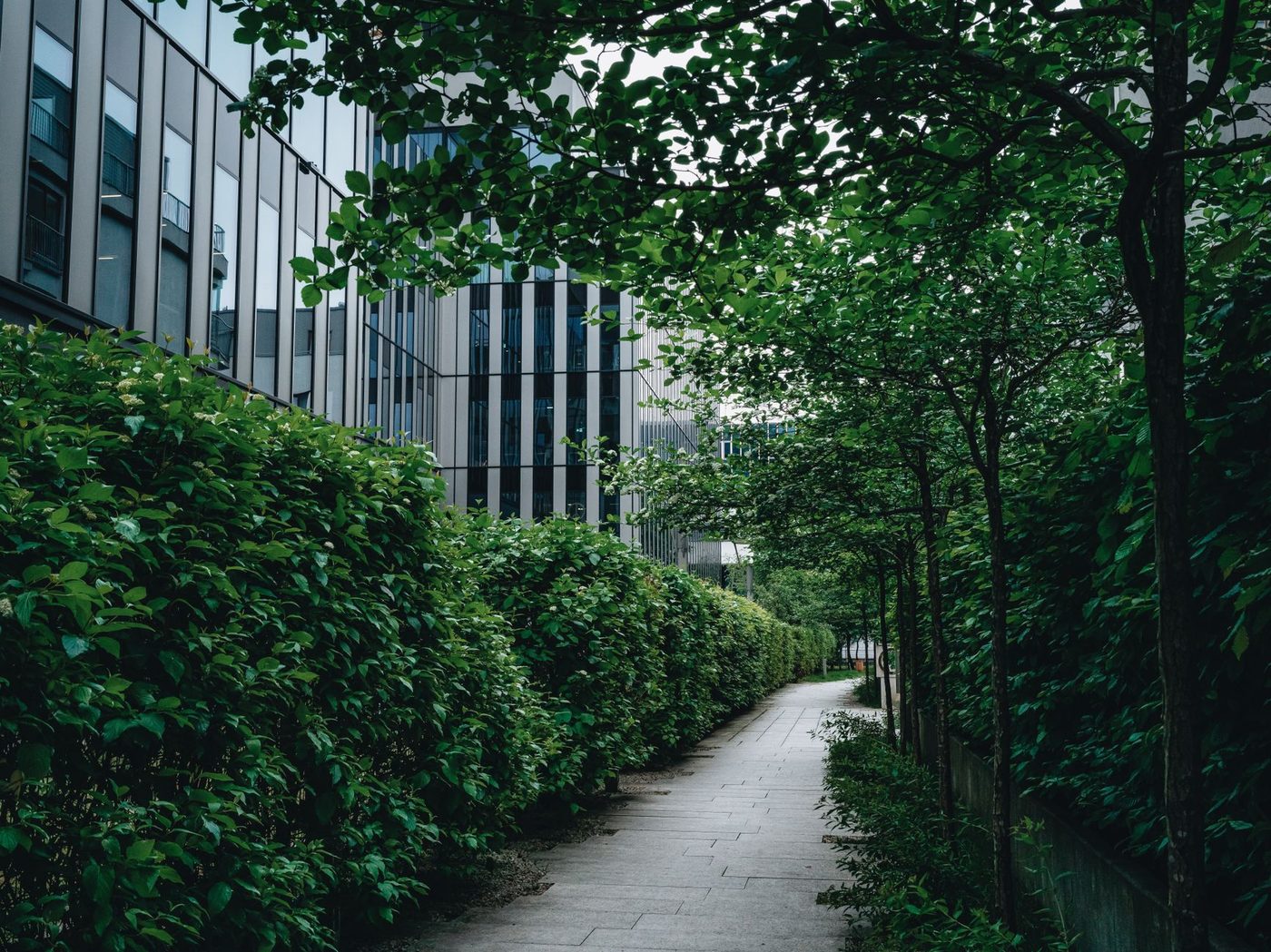 Guimardstraat in Europese wijk ondergaat groene transformatie