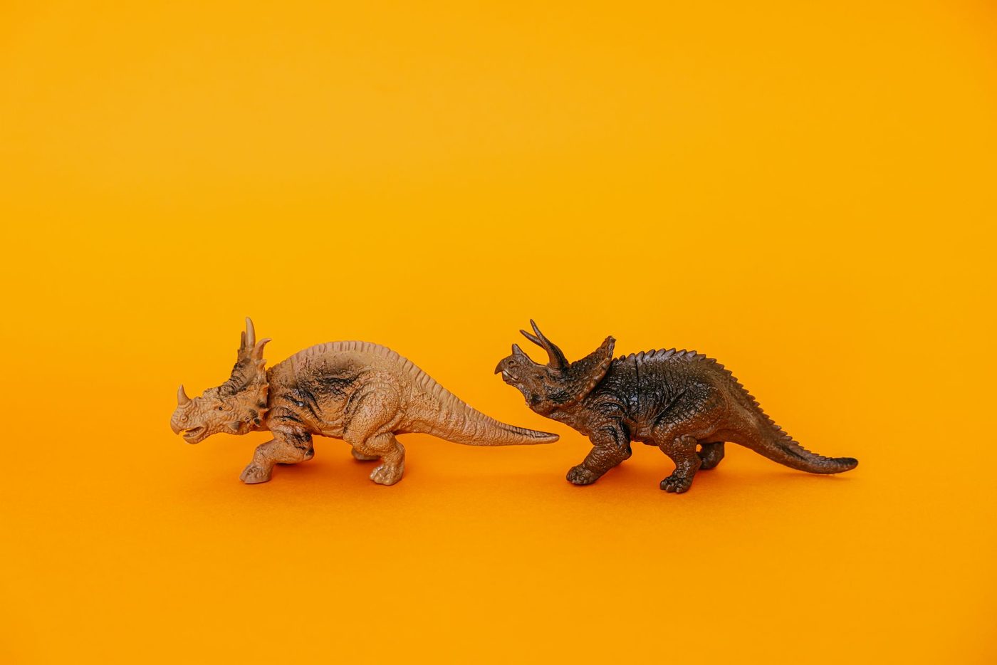 Eerste voetsporen van volwassen T. rex geven inzicht in loopsnelheid