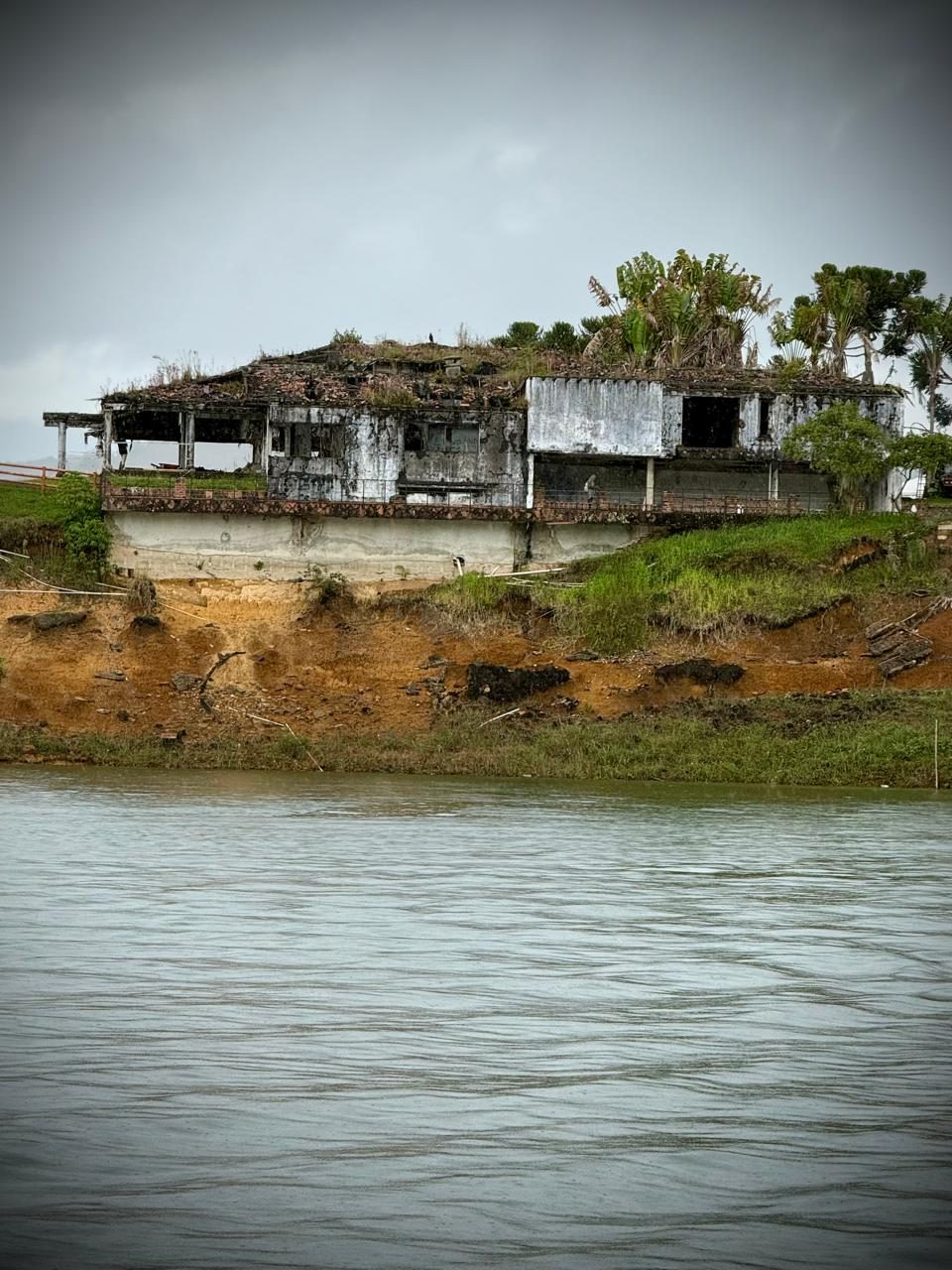 Nieuw dierenpark voor de nijlpaarden van Pablo Escobar: Zoon Indiase miljardair neemt initiatief