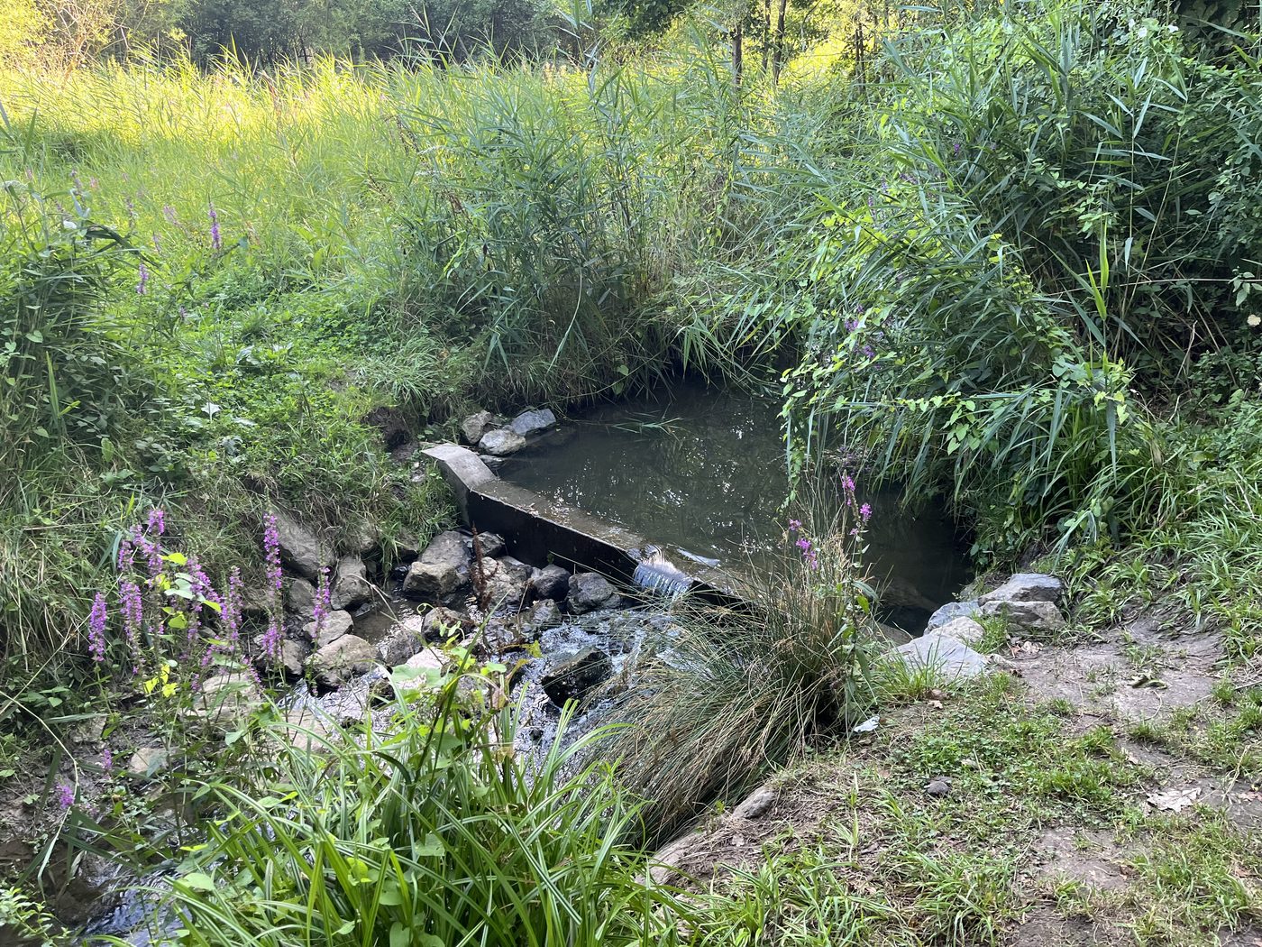 Ganshoren viert 185 jaar onafhankelijkheid met jaar vol festiviteiten