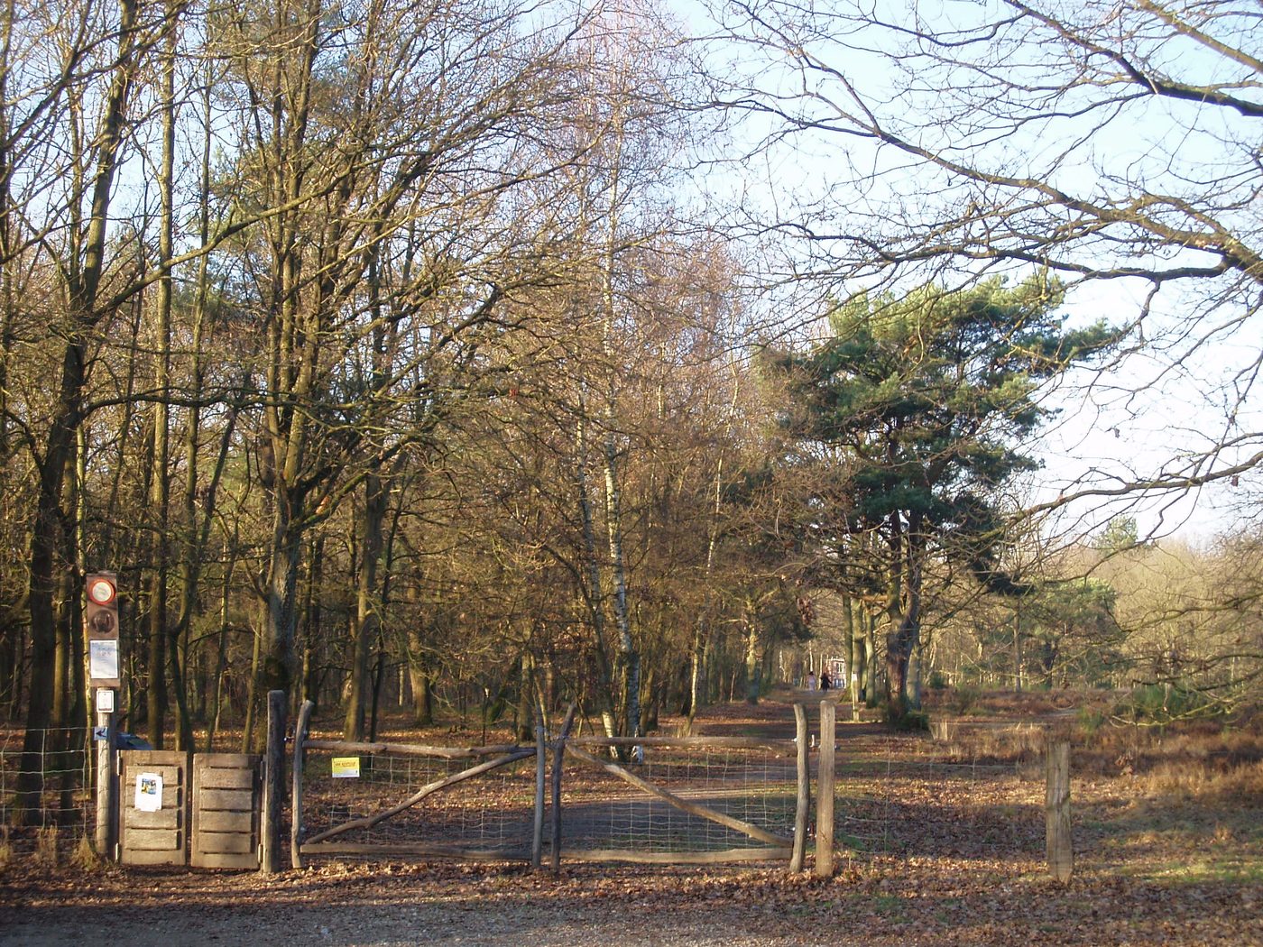Pluk je eigen Moederdagboeket op de Kesselse Heide voor de natuur