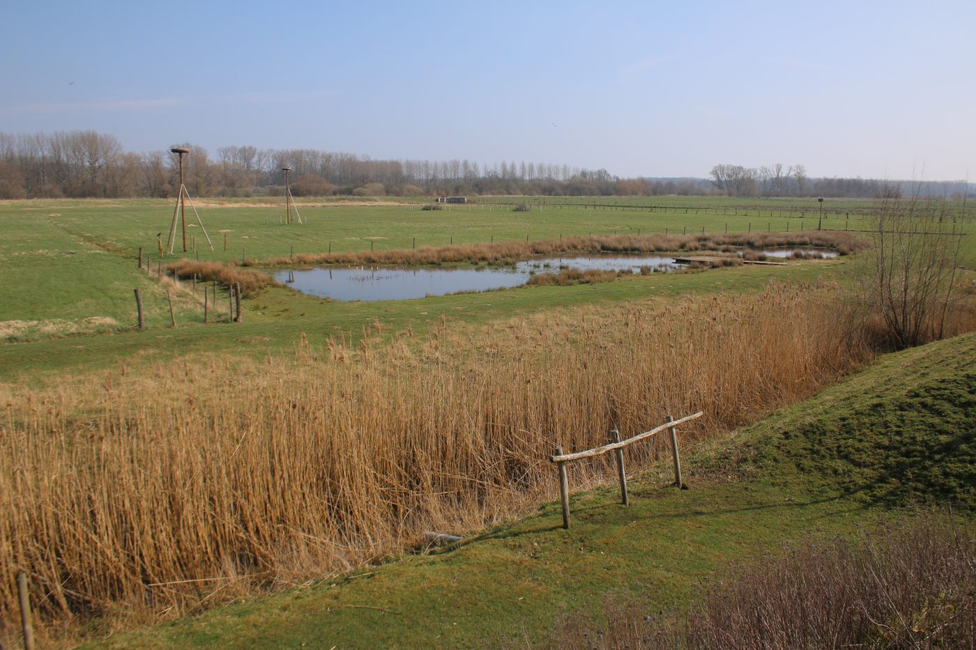 Vlaamse overheid graagt 19e-eeuwse grachten dicht: natuur moet als spons werken