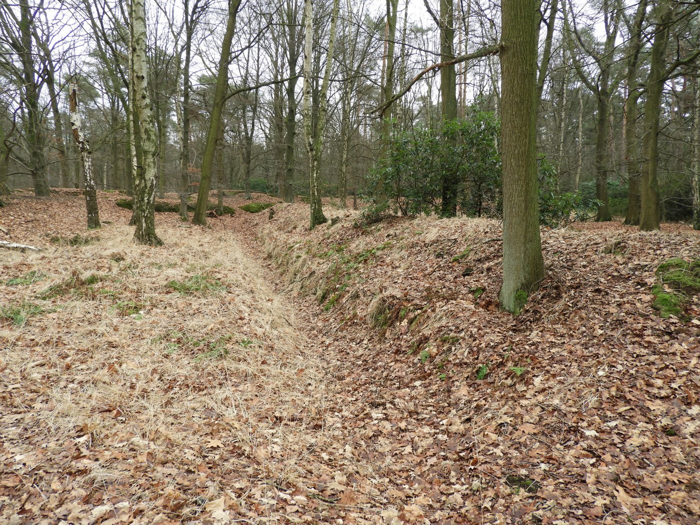 Natuurbrand Mastenbos Kapellen onder controle: ramen dicht, blussen gaat door