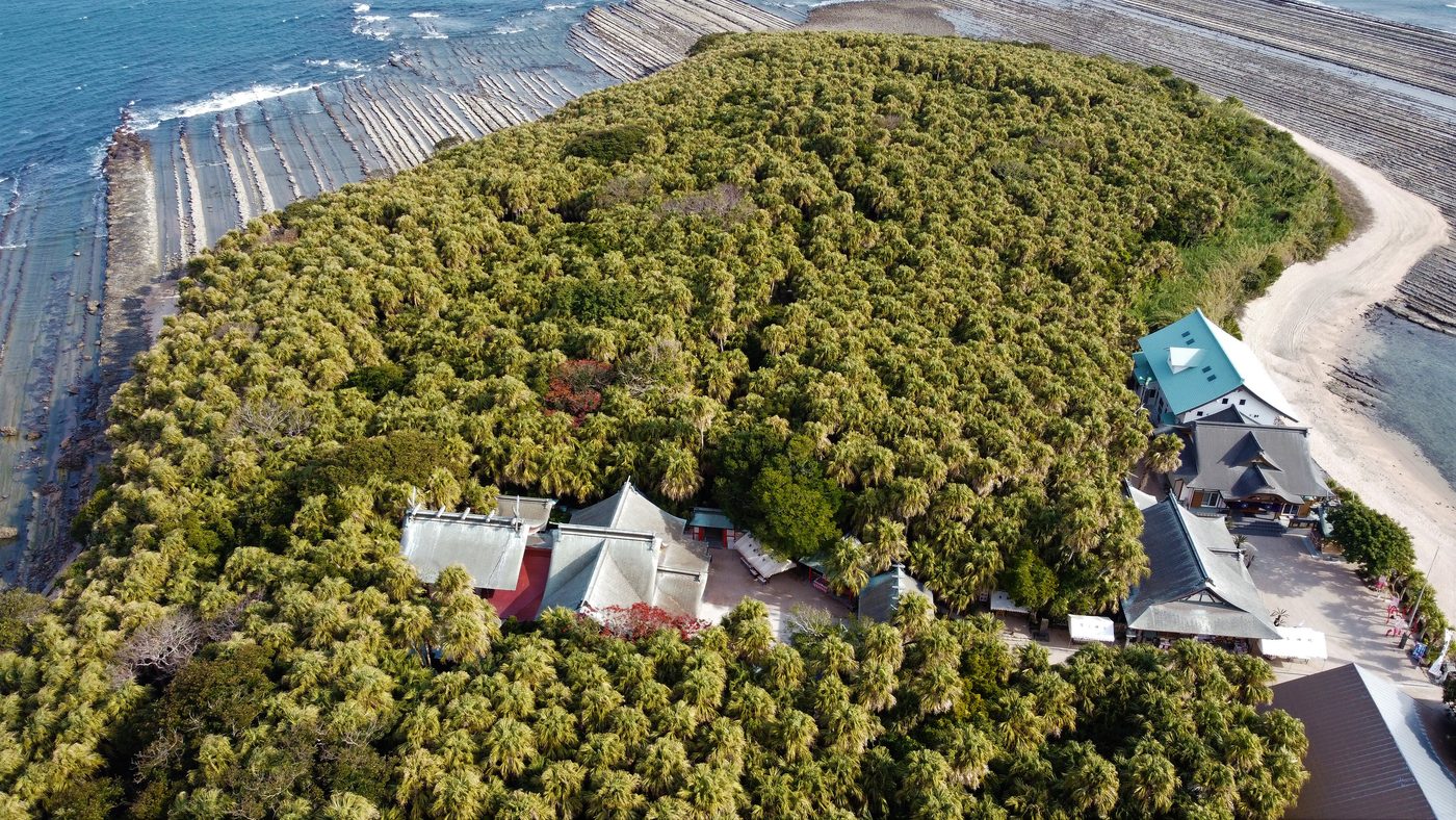 Aoshima: het Japanse eiland waar katten de dienst uitmaken