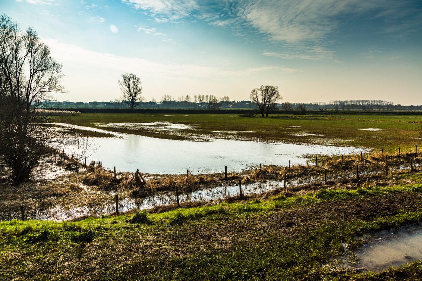 Schulensmeer weer open voor recreanten: blauwalgen verdwenen