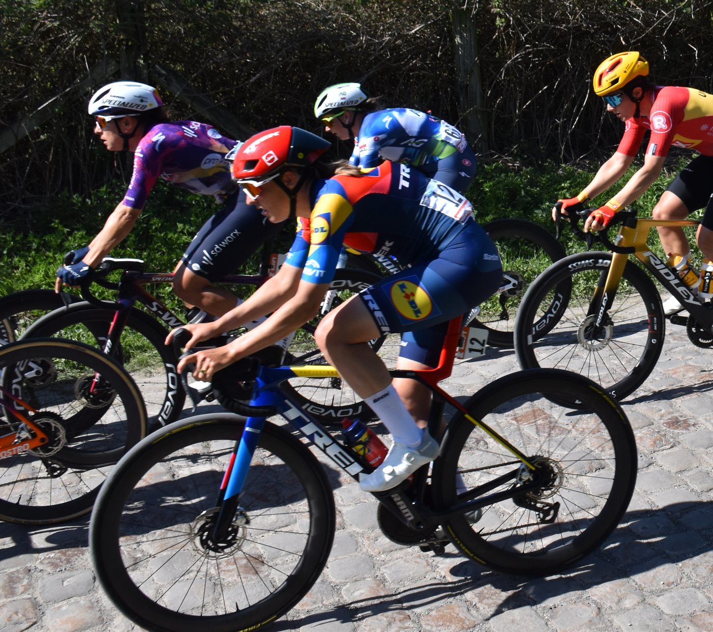 Lucinda Brand wint opnieuw in Ardooie, maar de losse crossen vechten voor hun bestaan